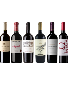 Carmenere Tasting Case