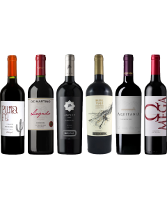 Carmenere Tasting Case