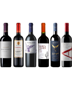 Carmenere Tasting Case