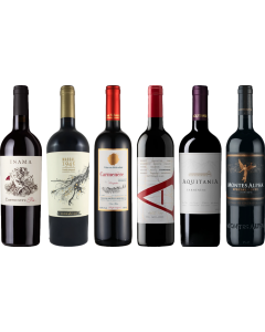 Carmenere Tasting Case