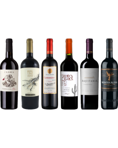 Carmenere Tasting Case
