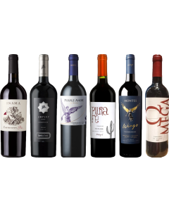 Carmenere Tasting Case