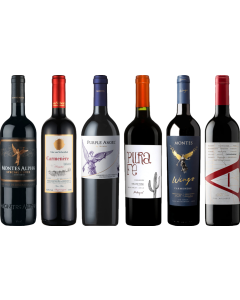 Carmenere Tasting Case