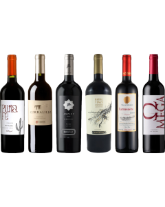Carmenere Tasting Case