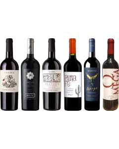 Carmenere Tasting Case