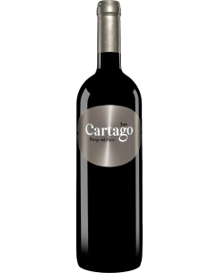 San Roman Cartago Paraje de Pozo Toro 2017