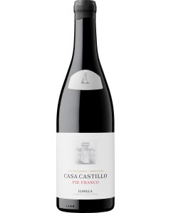 Casa Castillo Pie Franco 2022