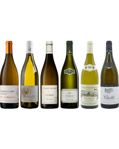 Chablis Tasting Case