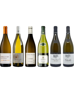 Chablis Tasting Case