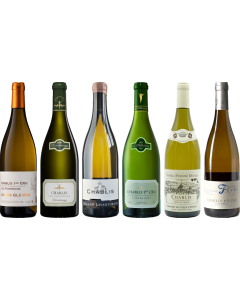 Chablis Tasting Case