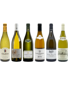 Chablis Tasting Case