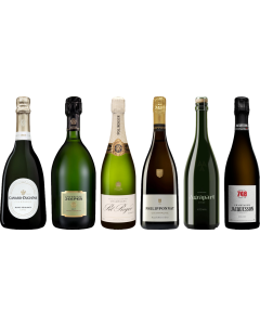 Champagne Premium Tasting Case