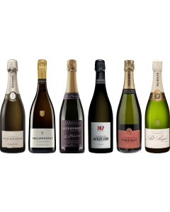 Champagne Premium Tasting Case