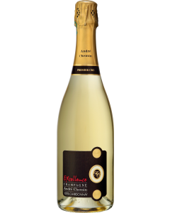 Champagne Andre Chemin Premier Cru Excellence Brut 2010