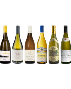 Chardonnay Premium Tasting Case