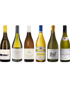 Chardonnay Premium Tasting Case