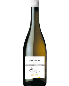 Clement & Florian Berthier Sancerre Les Chasseignes 2020
