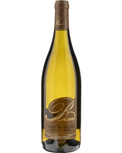 Domaine Besson Chablis Premier Cru Mont de Milieu 2021