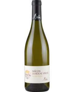 Domaine Merlin Macon La Roche Vineuse Vieilles Vignes 2022
