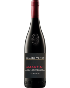 Domini Veneti Amarone della Valpolicella Classico 2015