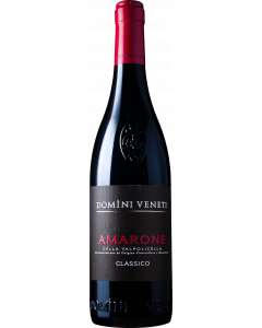 Domini Veneti Amarone della Valpolicella Classico 2021