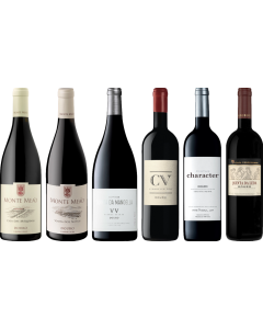 Douro Red Premium Tasting Case