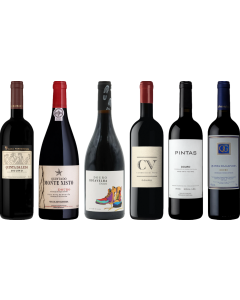 Douro Red Premium Tasting Case