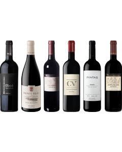 Douro Red Premium Tasting Case