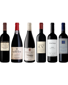 Douro Red Premium Tasting Case