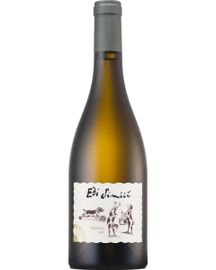 Edi Simcic Triton Lex 2022