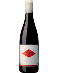 Envinate Benje Tinto 2024