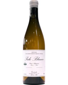 Envinate Palo Blanco 2024