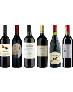 Georgian Saperavi Premium Tasting Case