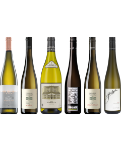 Gruner Veltliner Premium Tasting Case