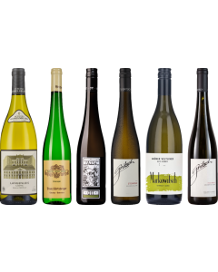 Gruner Veltliner Premium Tasting Case