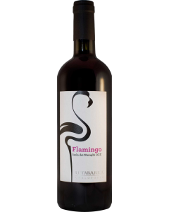 U Tabarka Flamingo 2014