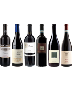 Langhe Nebbiolo Premium Tasting Case