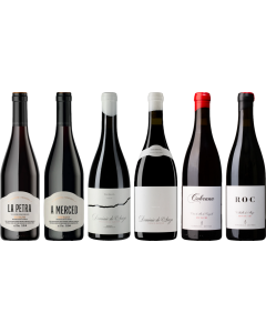 Mencia Premium Tasting Case