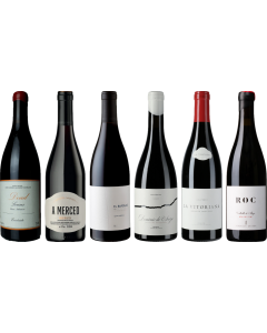 Mencia Premium Tasting Case