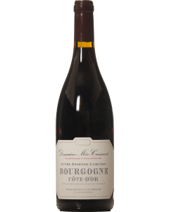 【Domaine Mee Camuzet Bourgogne 2019】 Domaine Meo-Camuzet Bourgogne 2019 750ml - Liquors Inc.