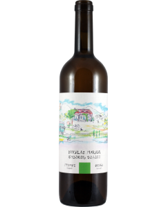 Nikalas Marani Mtsvane 2024