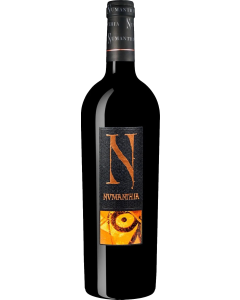 Numanthia Toro 2019