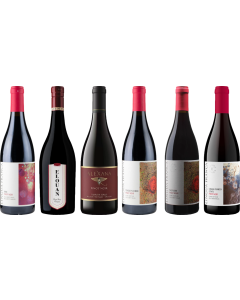 Oregon Pinot Noir Premium Tasting Case