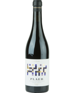 Acustic Celler Plaer 2016