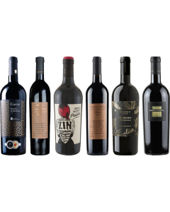 Primitivo Premium Tasting Case