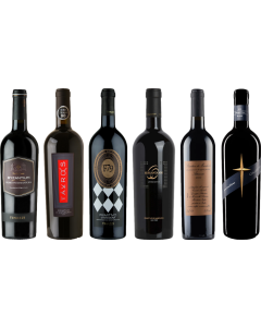 Primitivo Premium Tasting Case