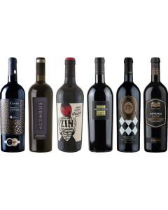 Primitivo Premium Tasting Case