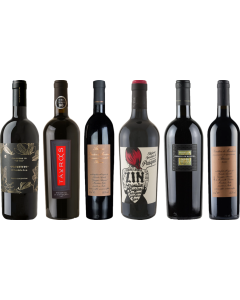 Primitivo Premium Tasting Case