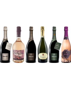 Prosecco Premium Tasting Case