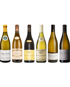 Puligny-Montrachet Tasting Case